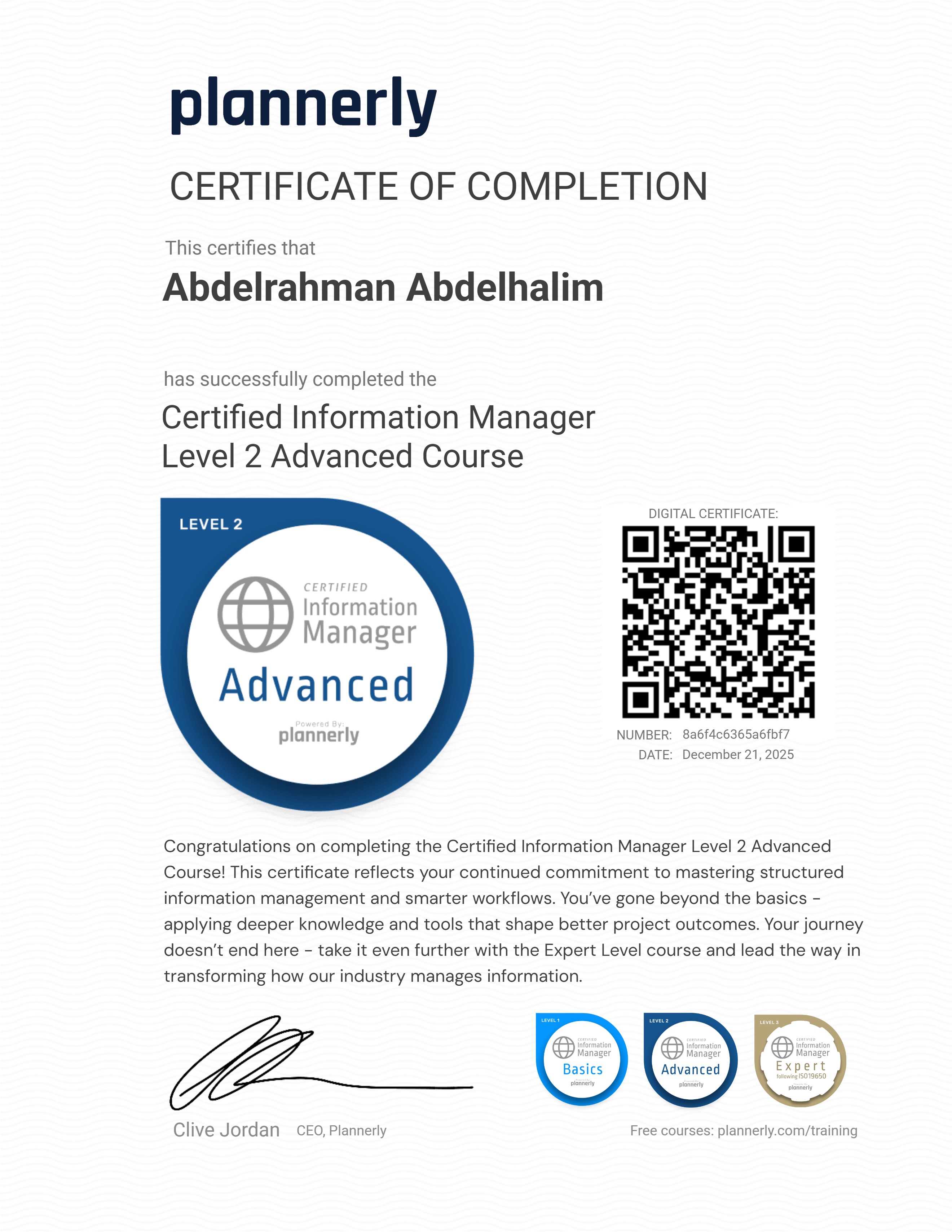 Level 2 Information Manager - Advanced