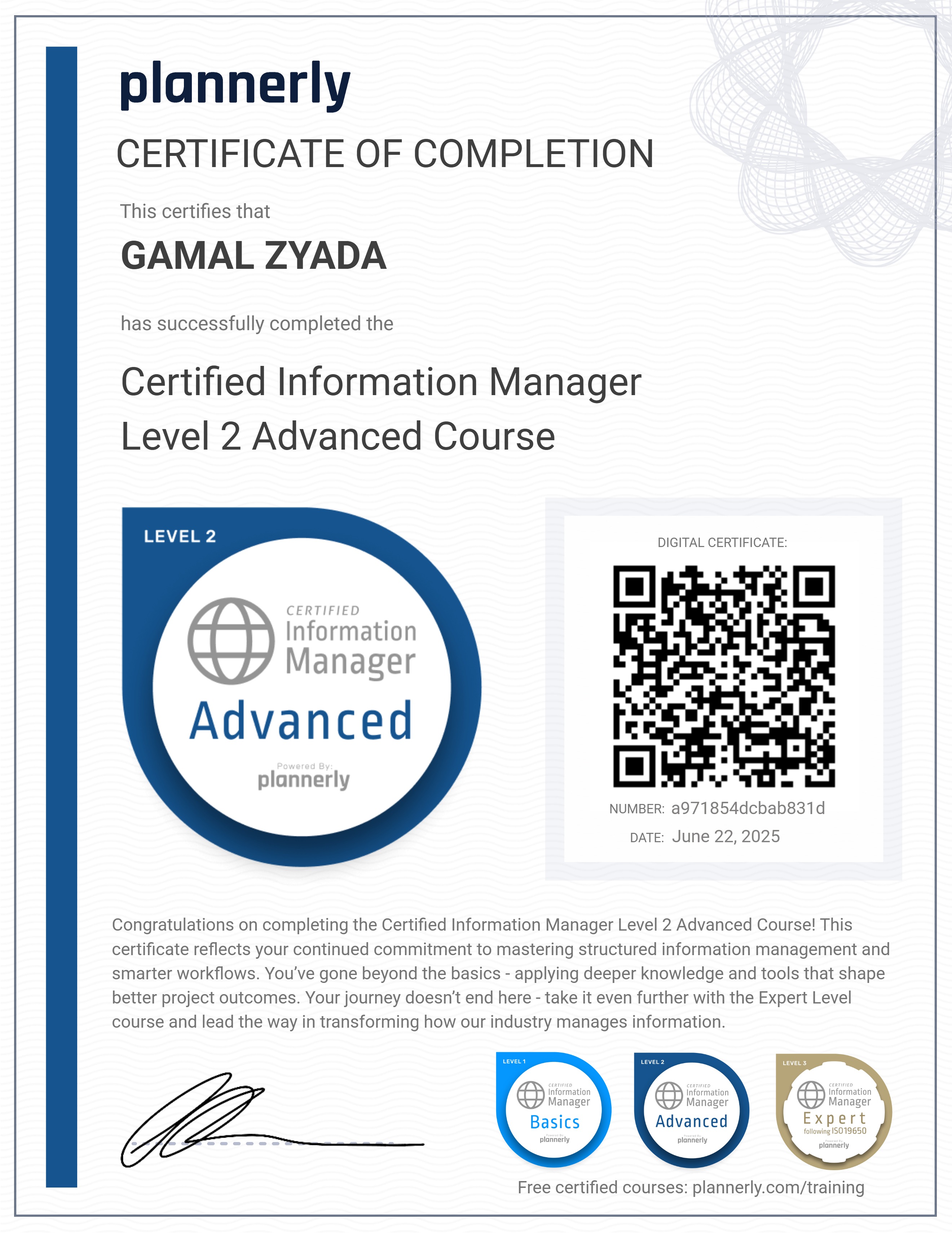 Level 2 Information Manager - Advanced