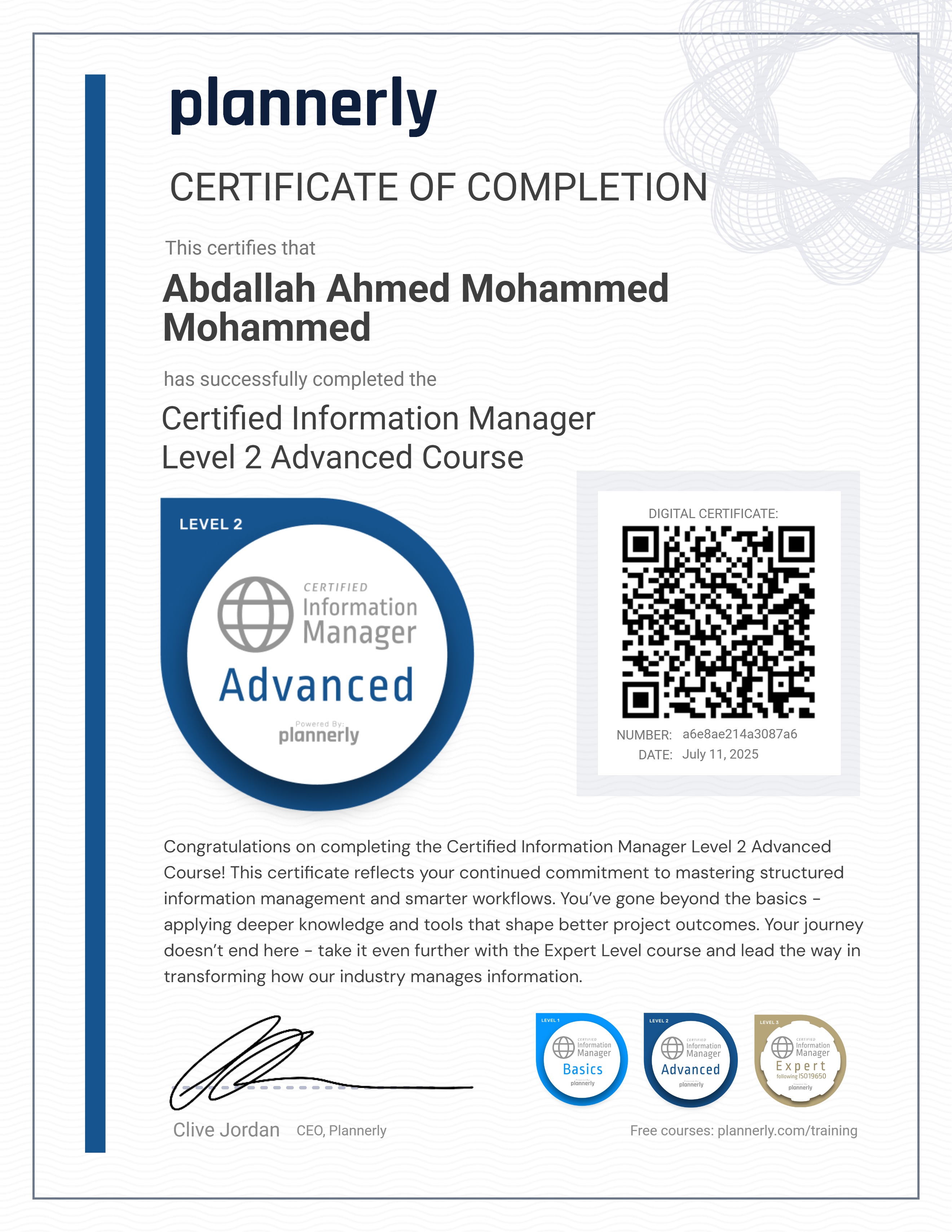 Level 2 Information Manager - Advanced