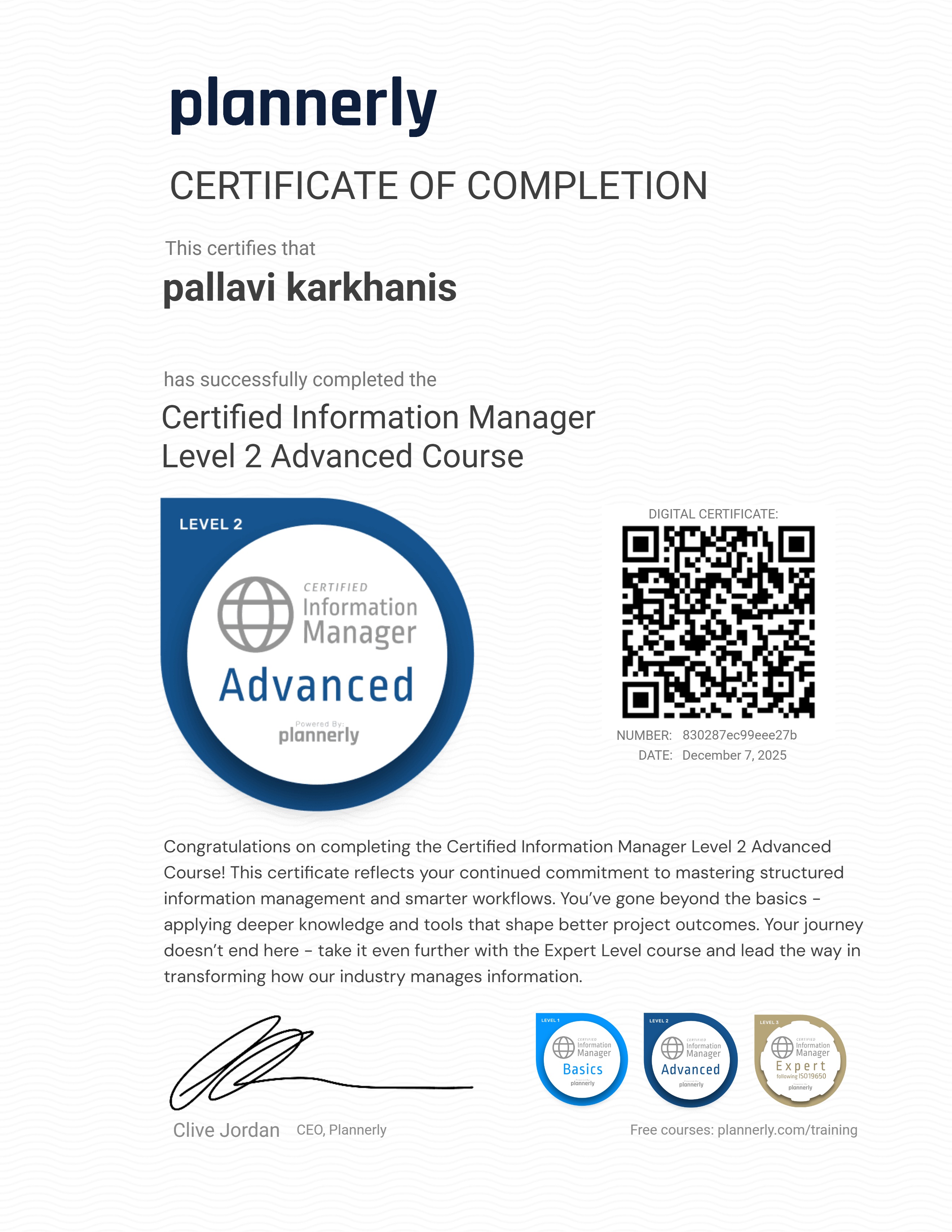 Level 2 Information Manager - Advanced