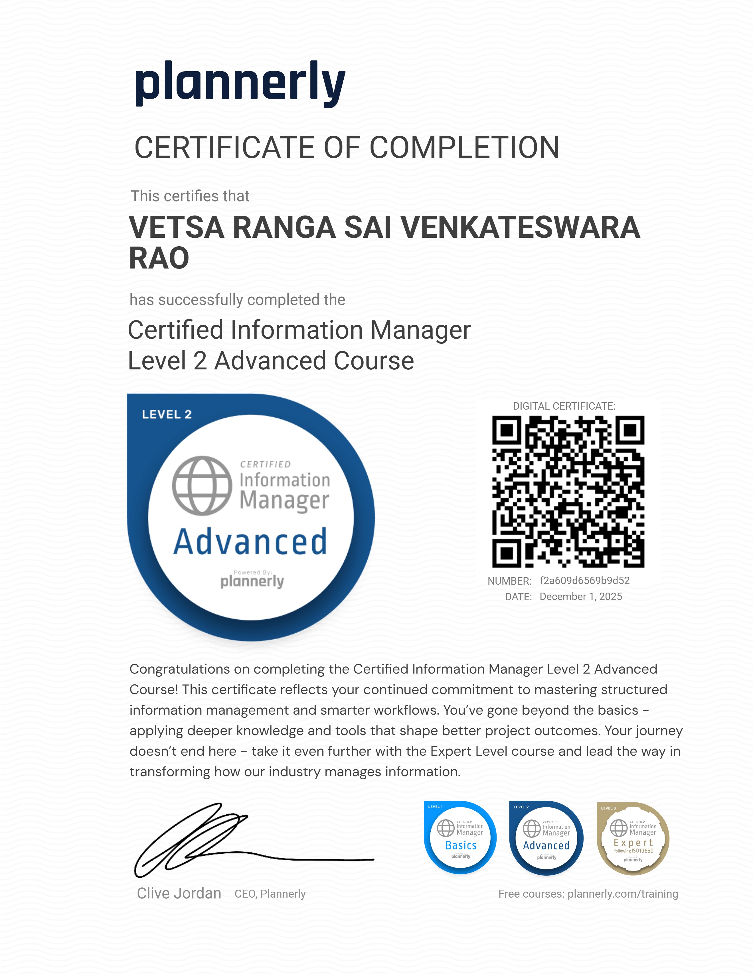 Level 2 Information Manager - Advanced