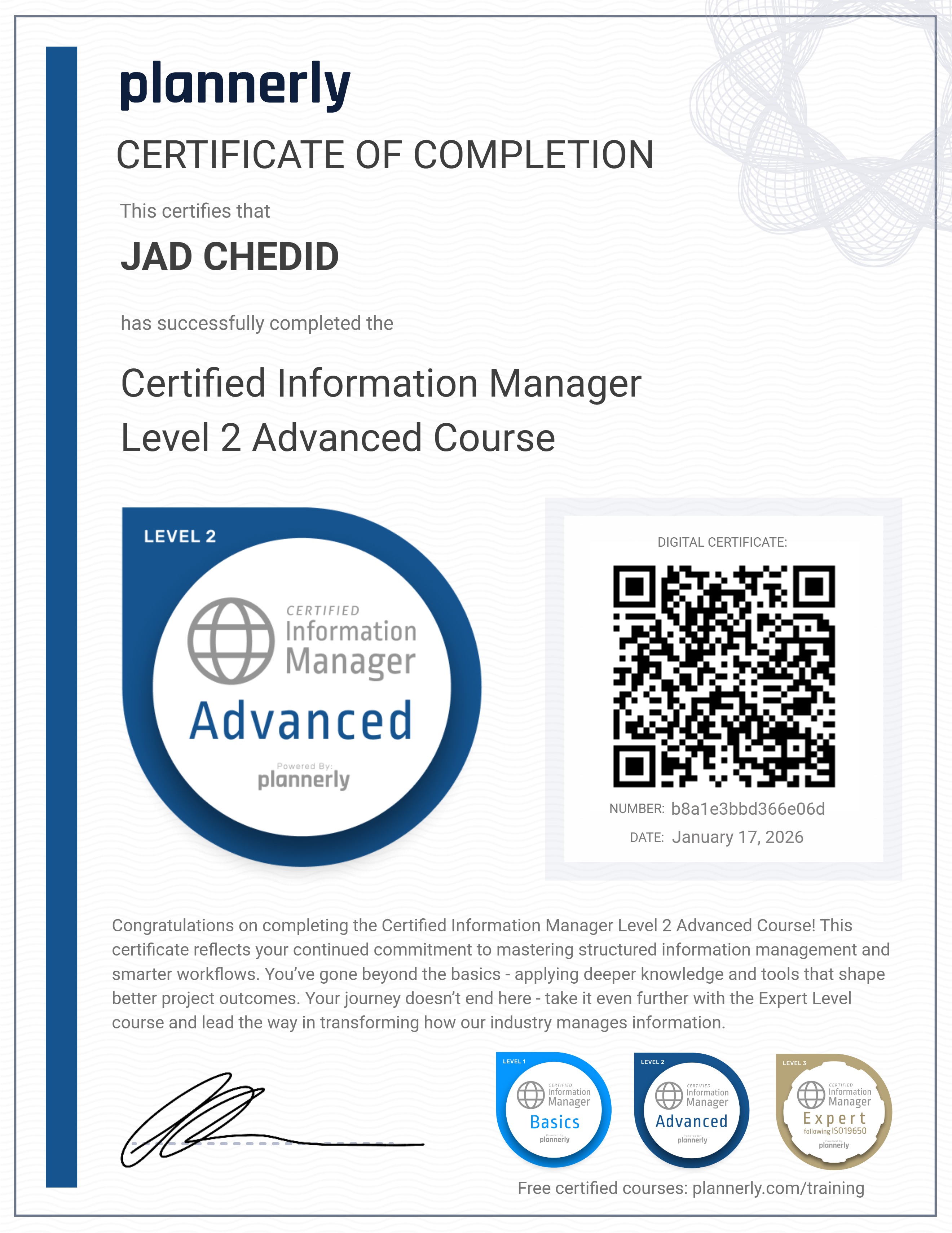 Level 2 Information Manager - Advanced