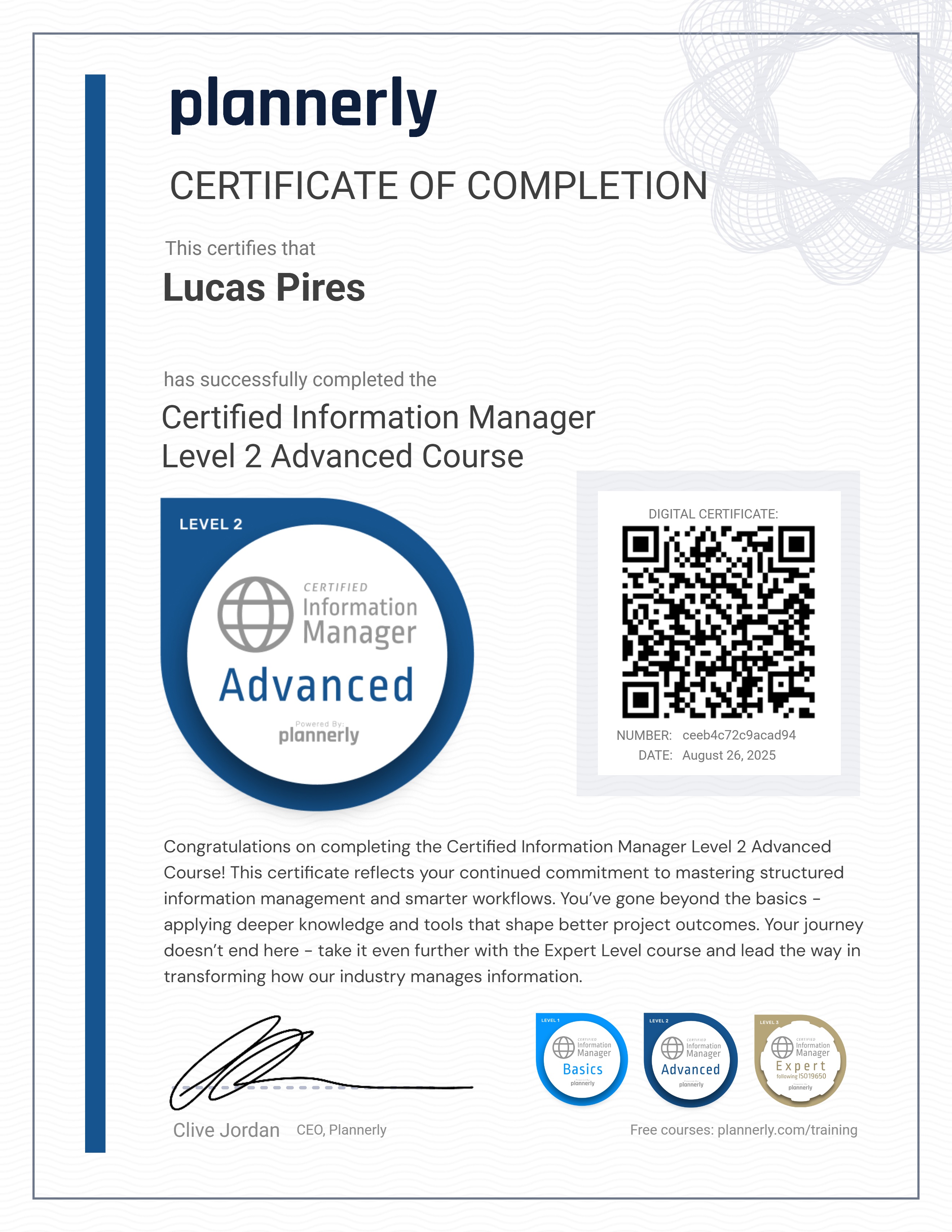 Level 2 Information Manager - Advanced