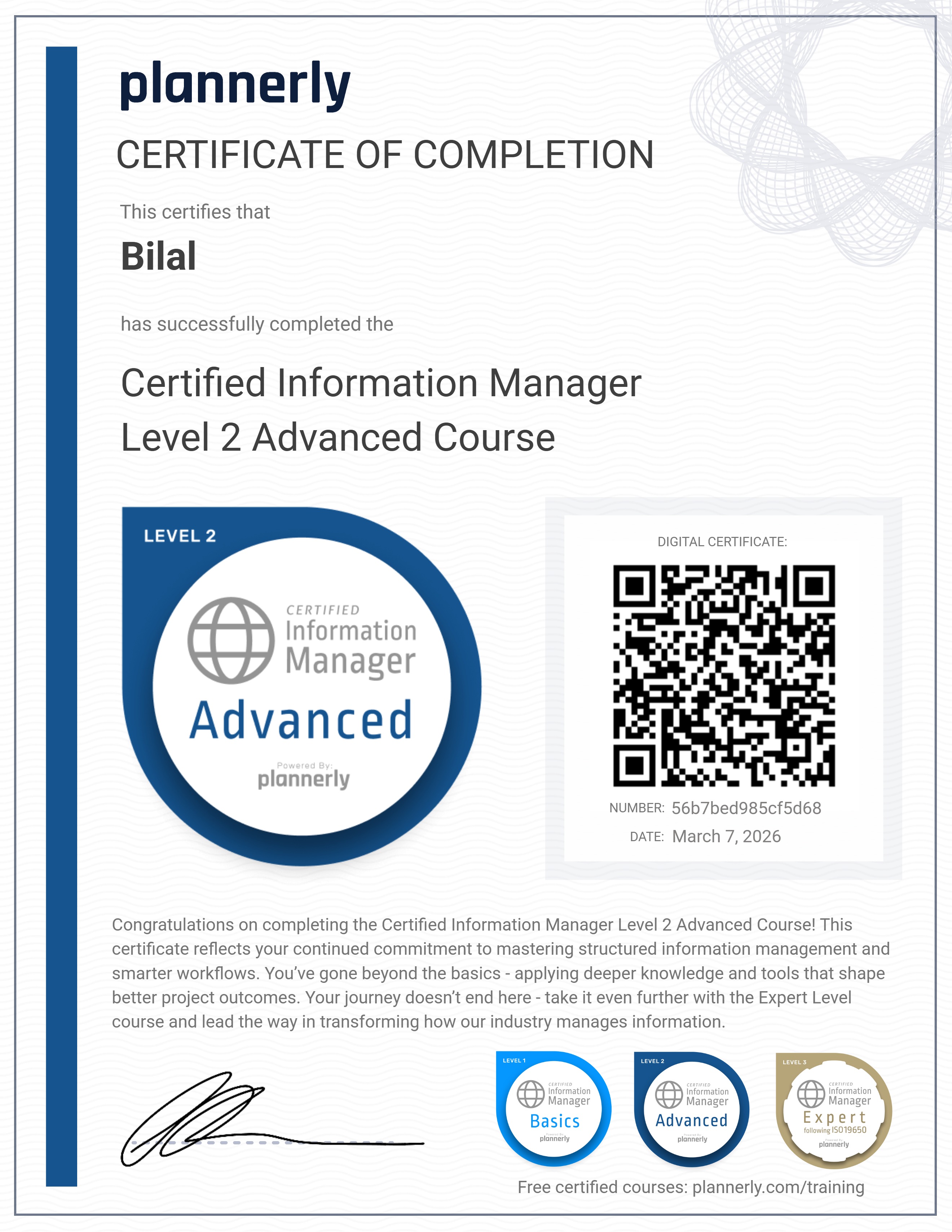 Level 2 Information Manager - Advanced