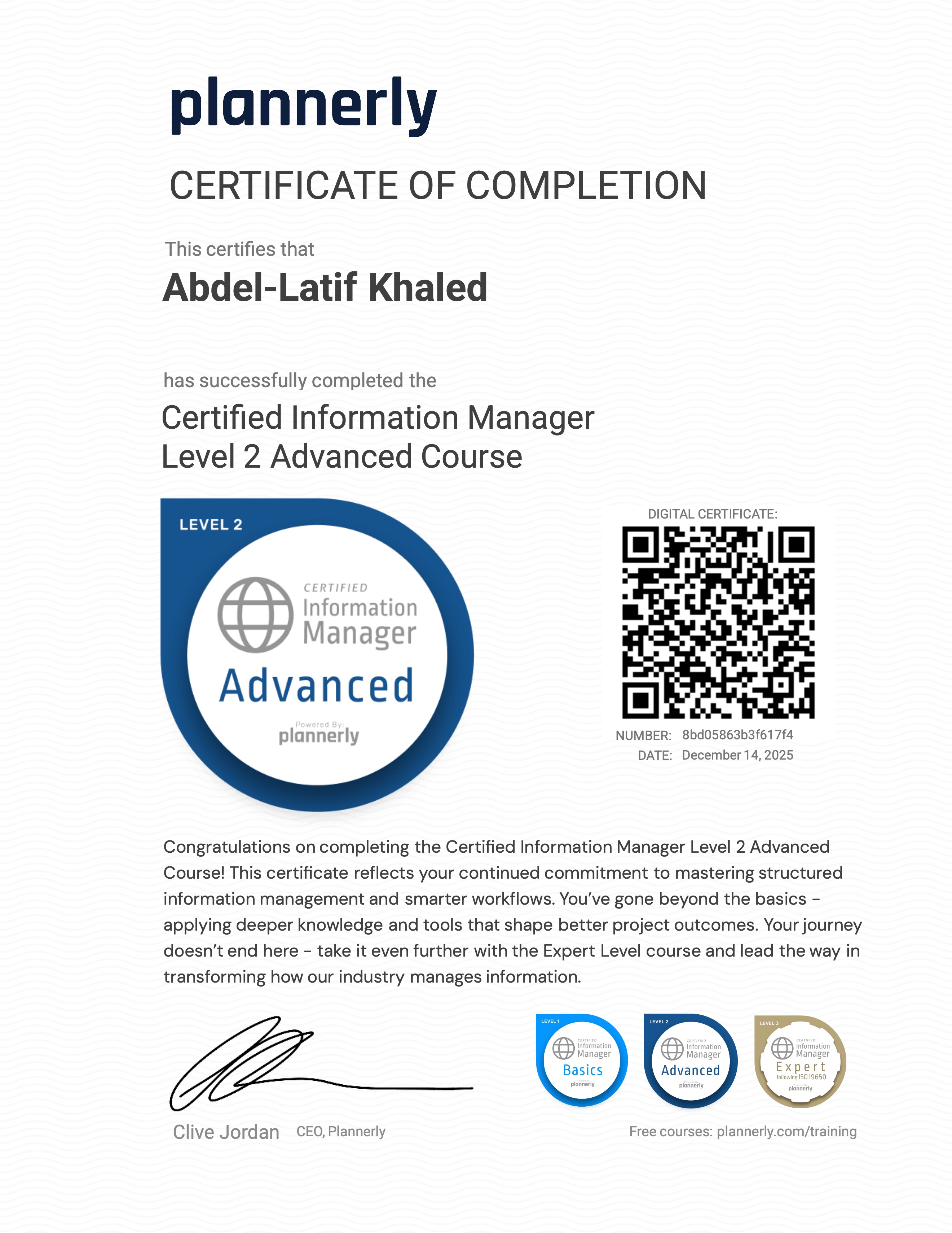 Level 2 Information Manager - Advanced