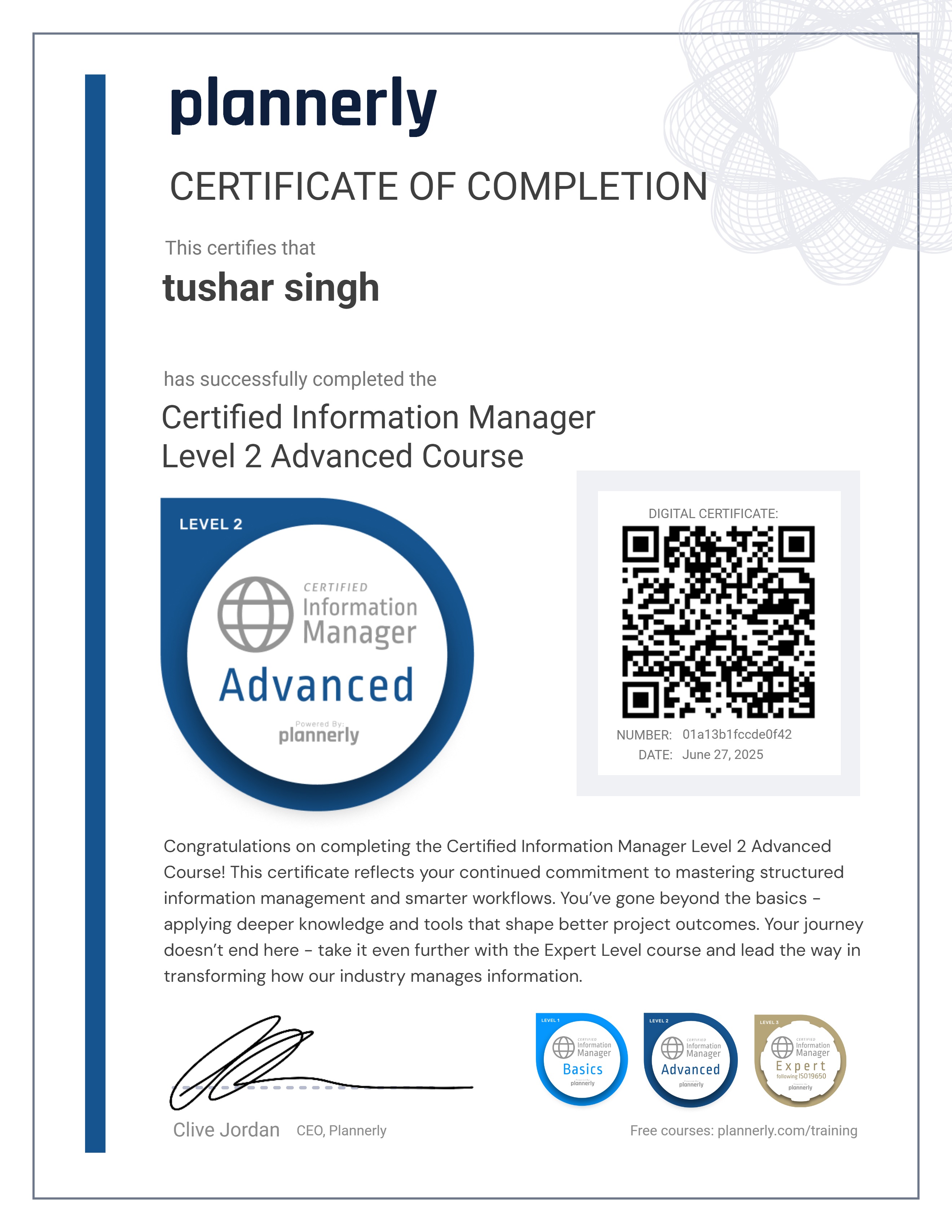 Level 2 Information Manager - Advanced