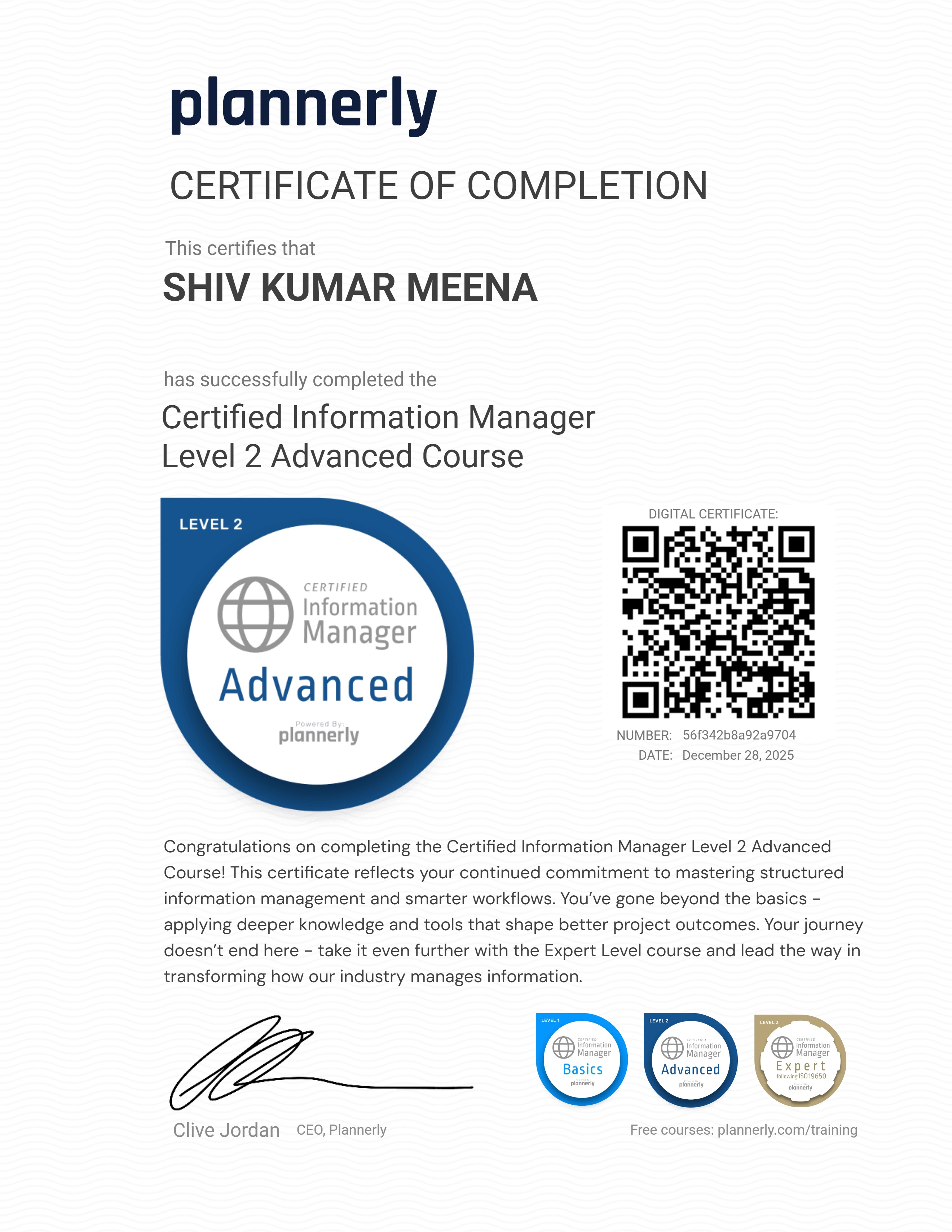 Level 2 Information Manager - Advanced