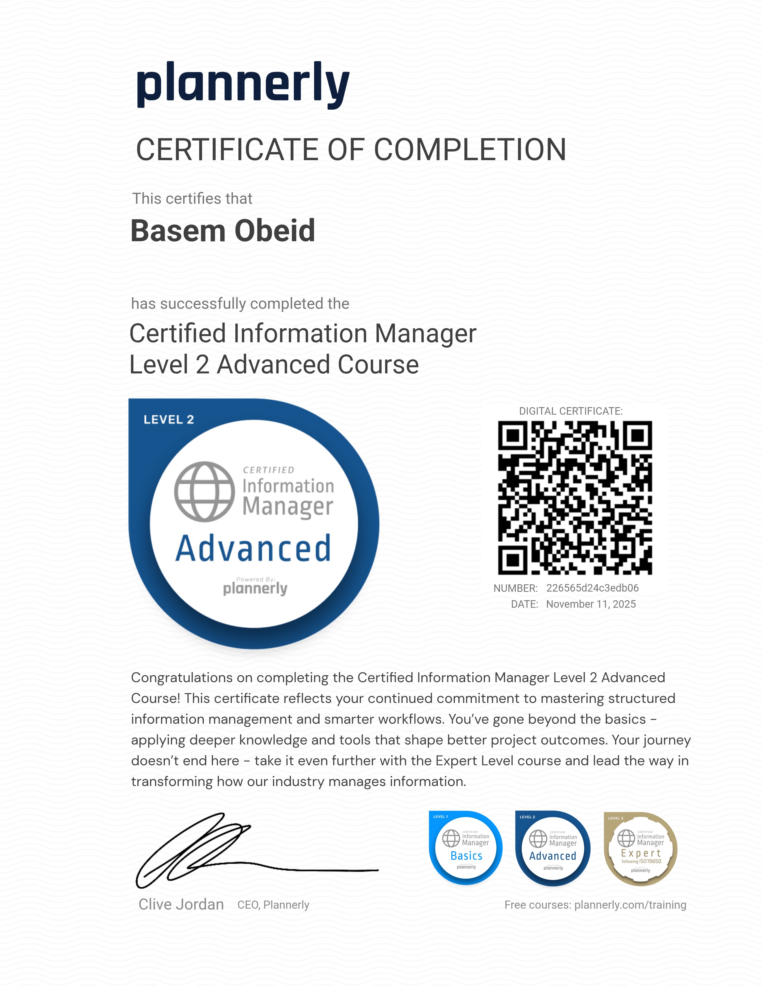 Level 2 Information Manager - Advanced