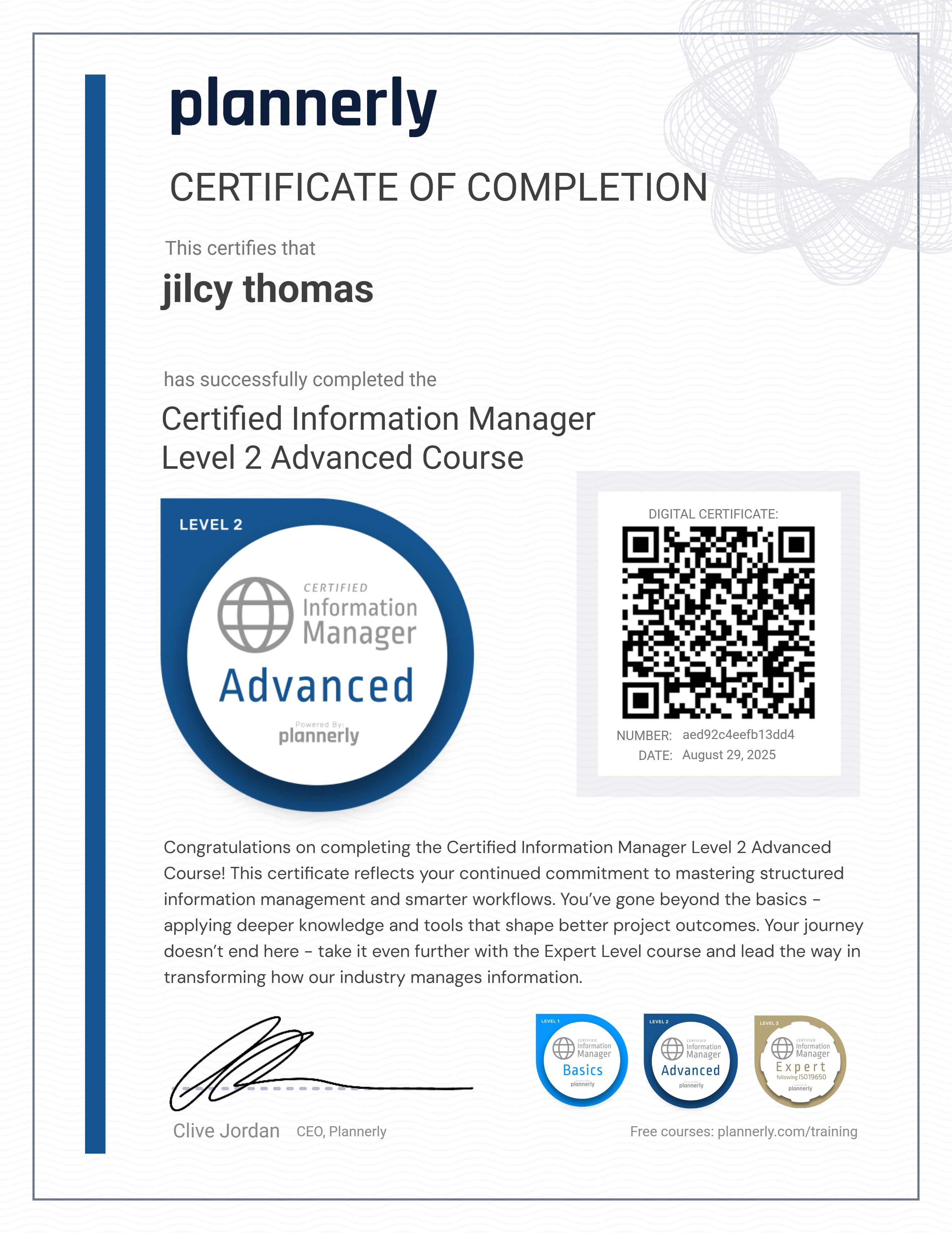 Level 2 Information Manager - Advanced