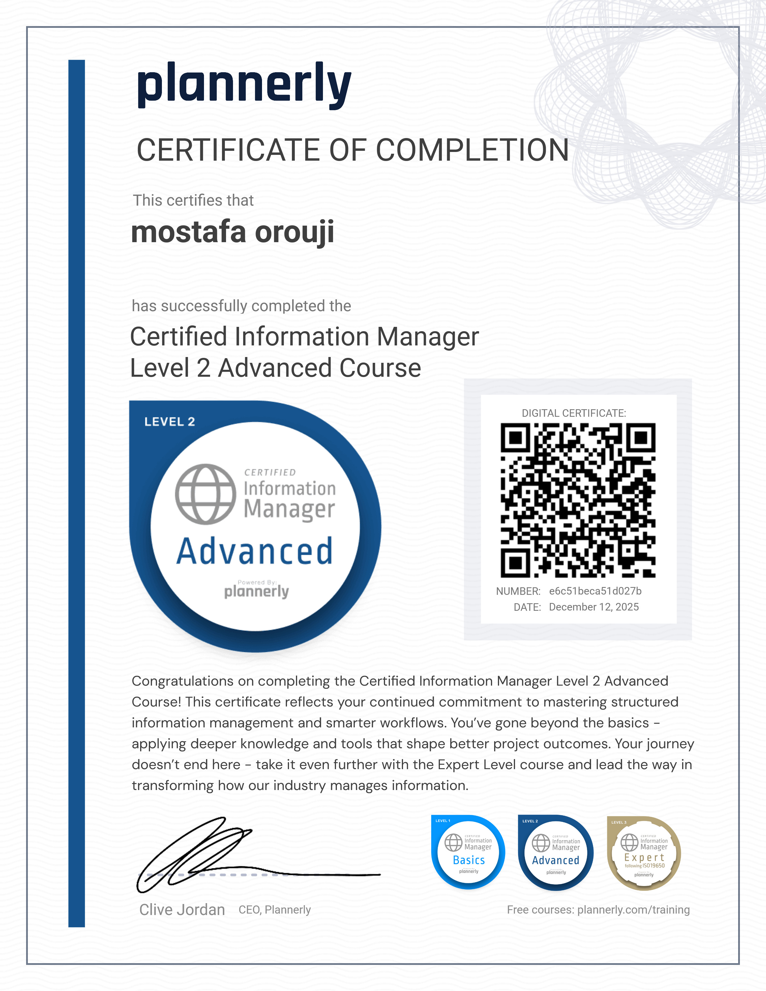 Level 2 Information Manager - Advanced