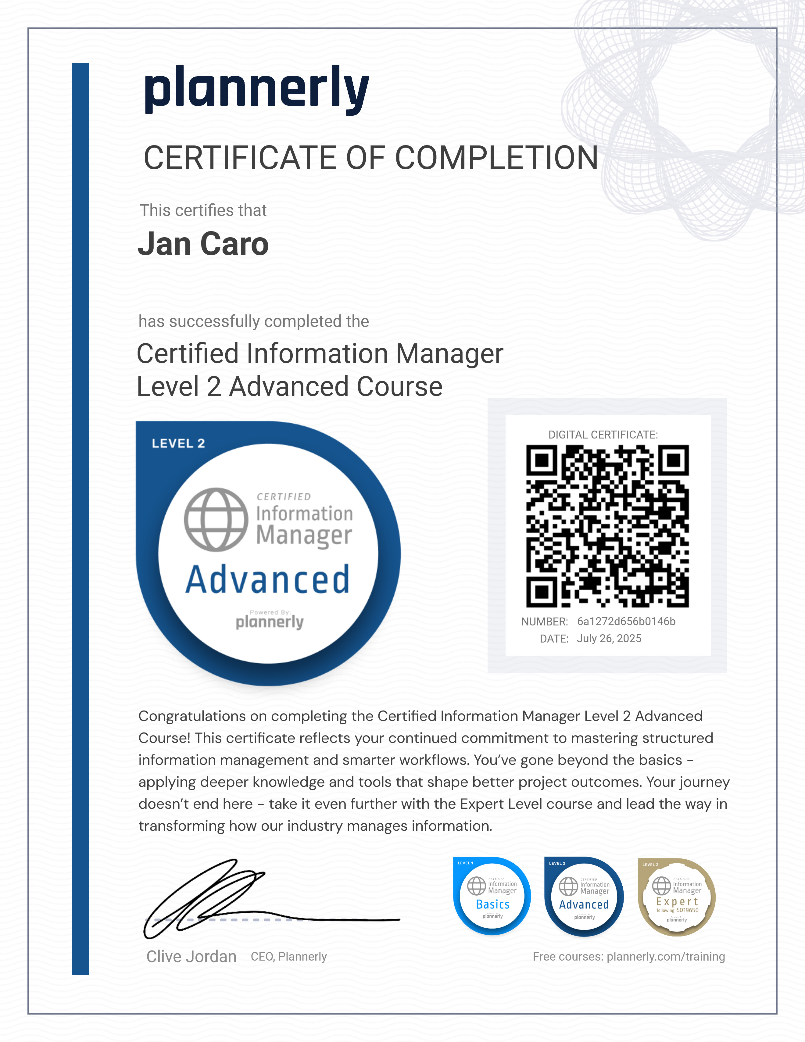 Level 2 Information Manager - Advanced