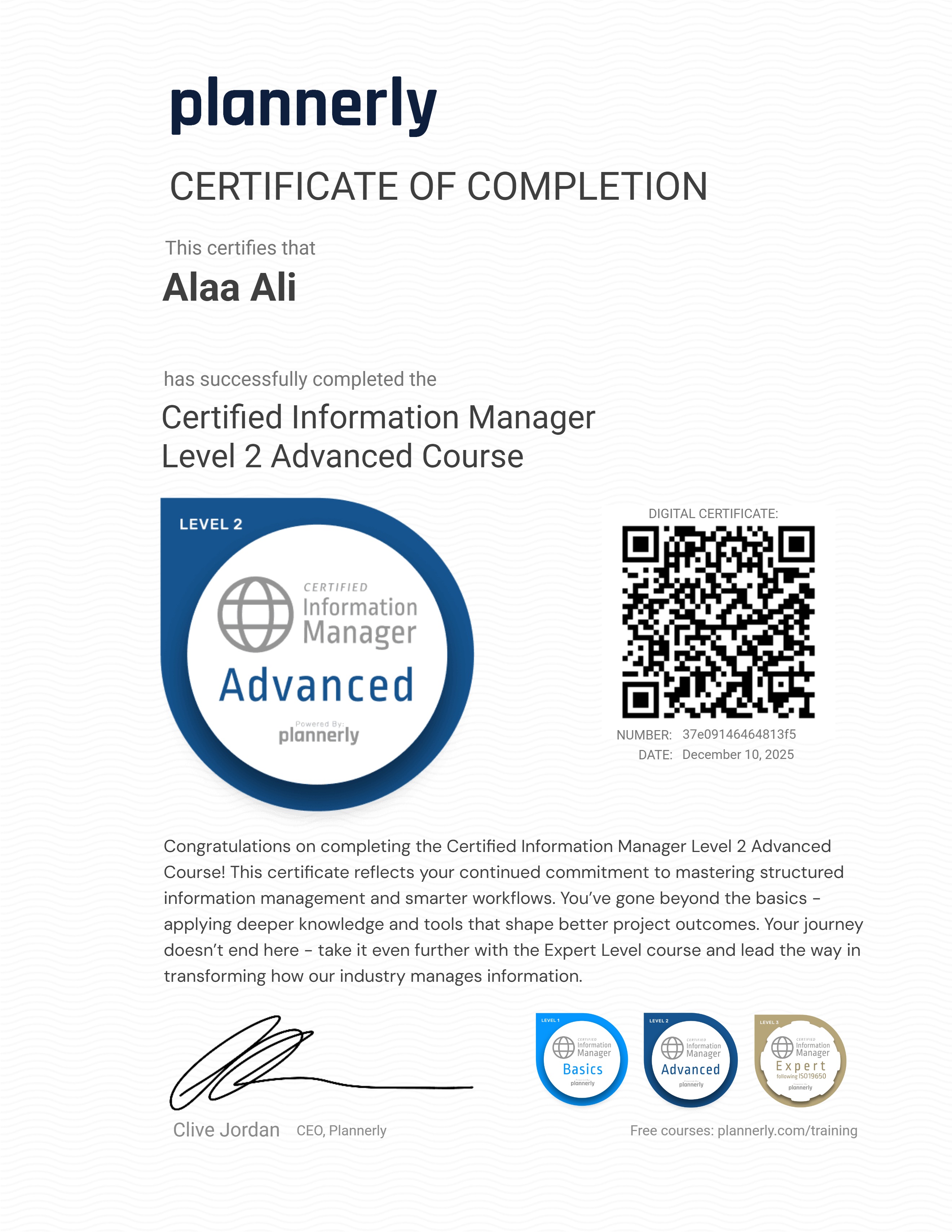 Level 2 Information Manager - Advanced