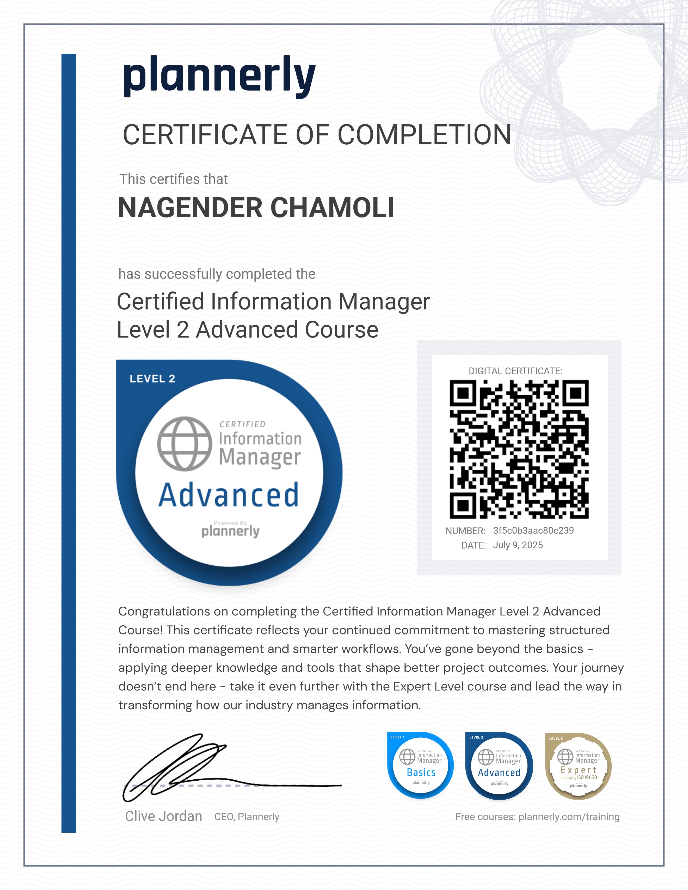 Level 2 Information Manager - Advanced