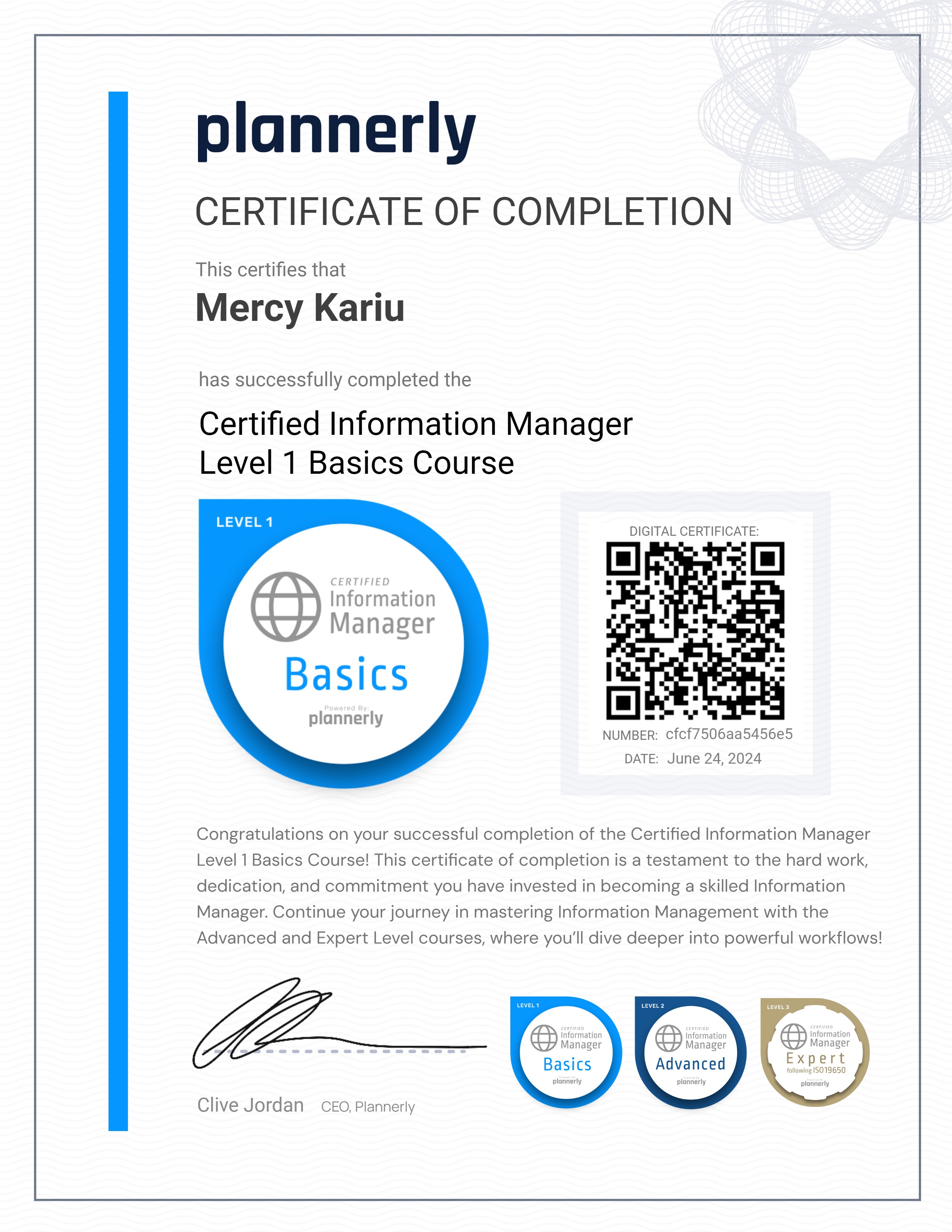 Level 1 Information Manager - Basics