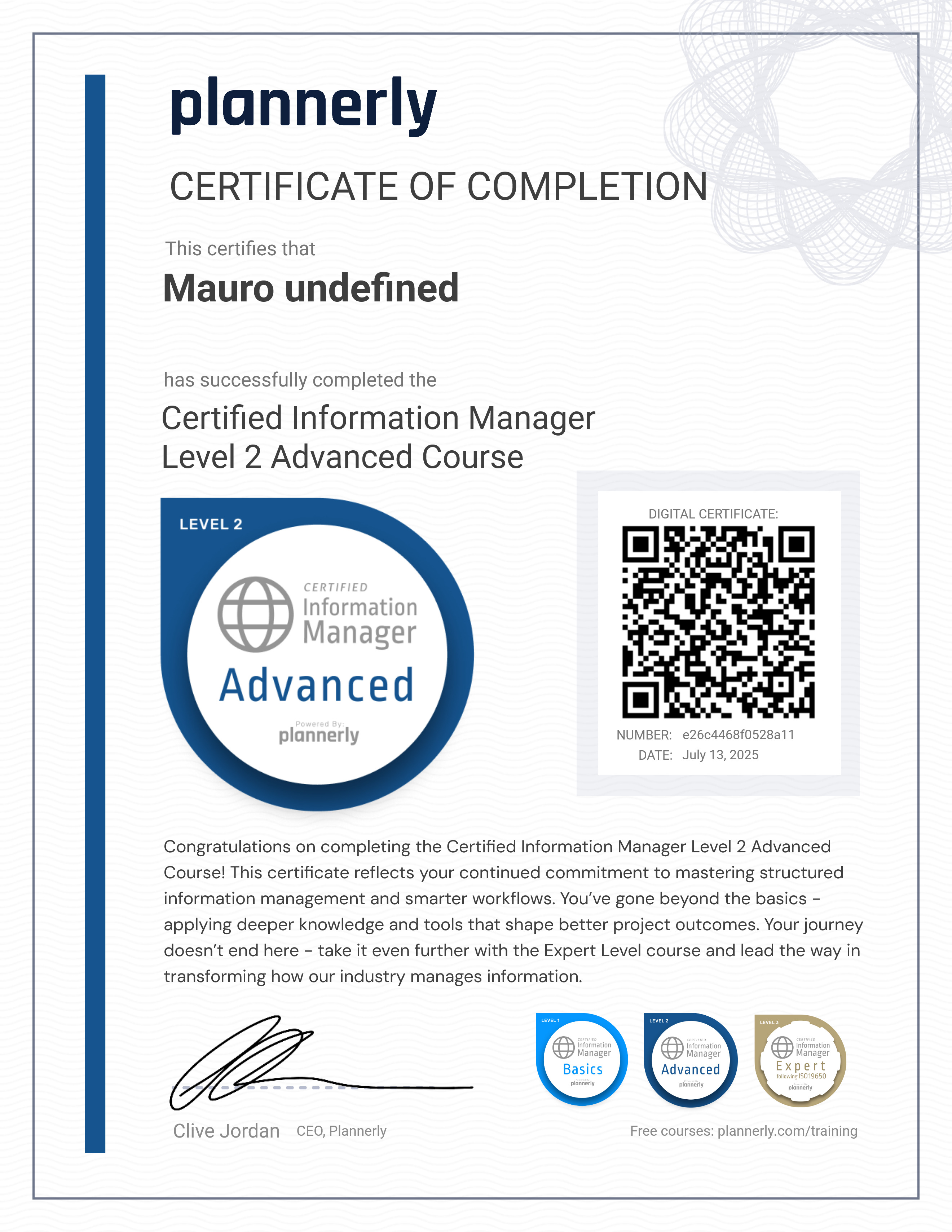 Level 2 Information Manager - Advanced