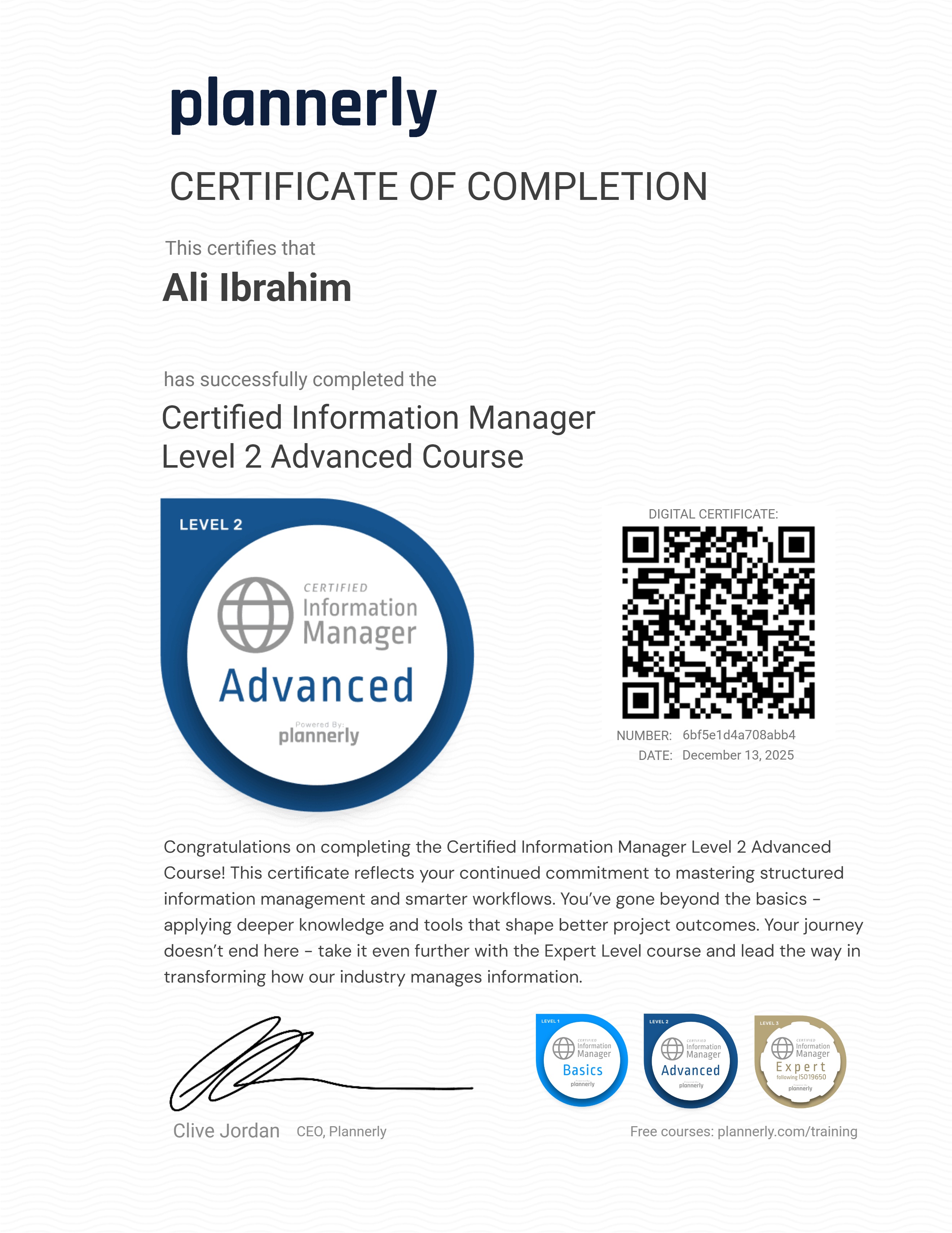 Level 2 Information Manager - Advanced