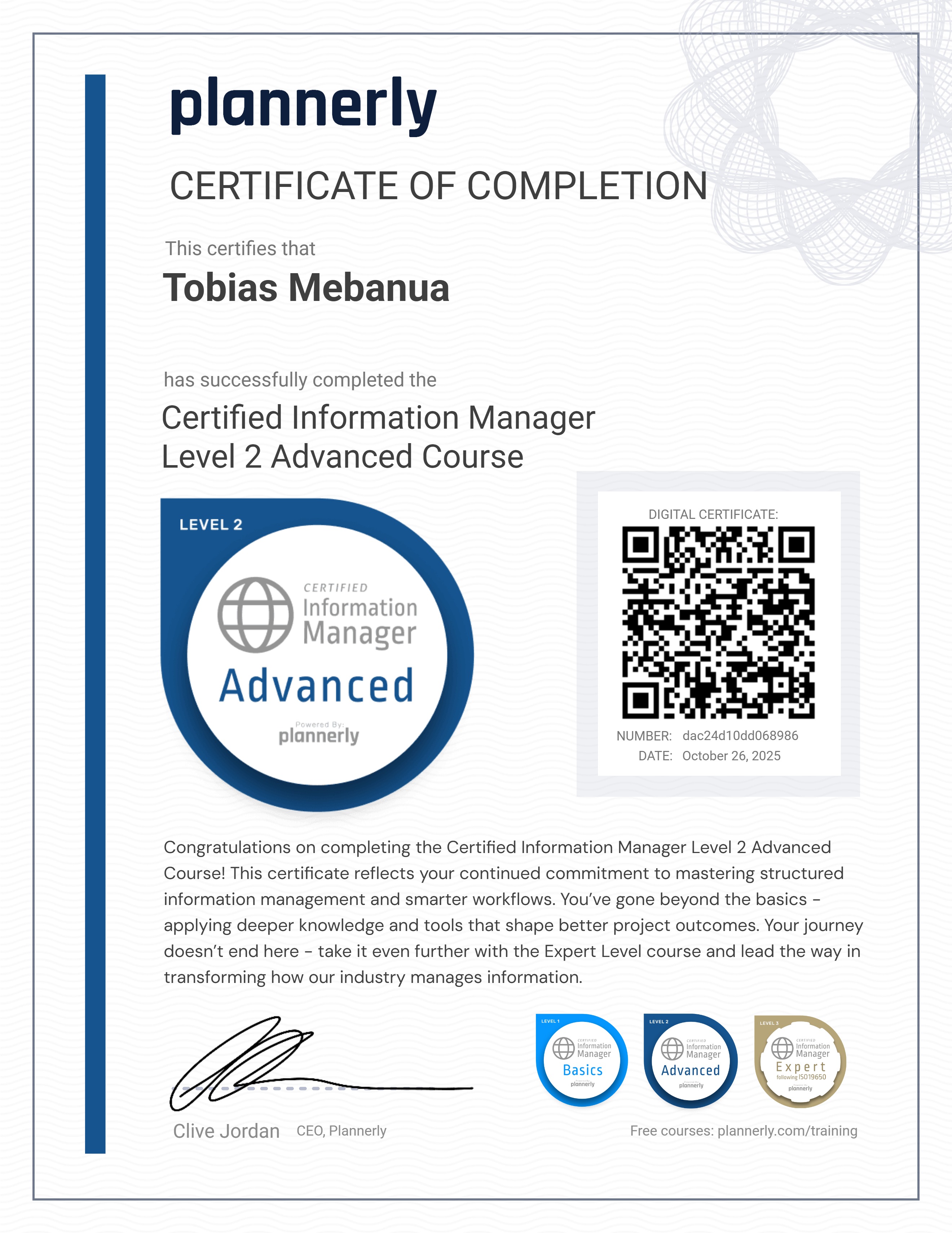 Level 2 Information Manager - Advanced