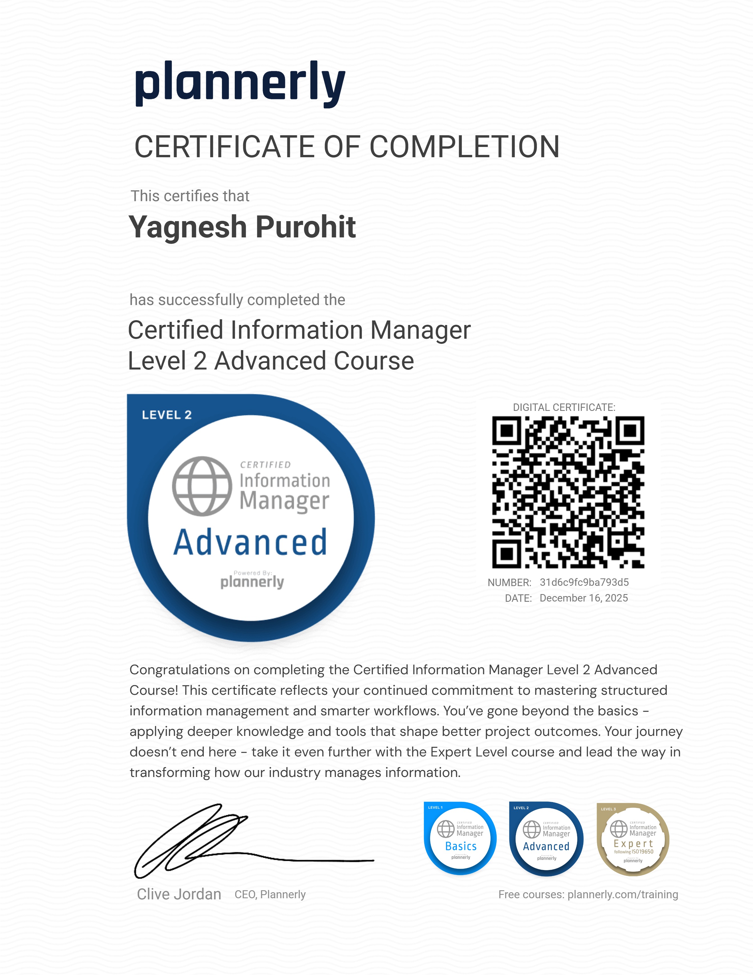 Level 2 Information Manager - Advanced