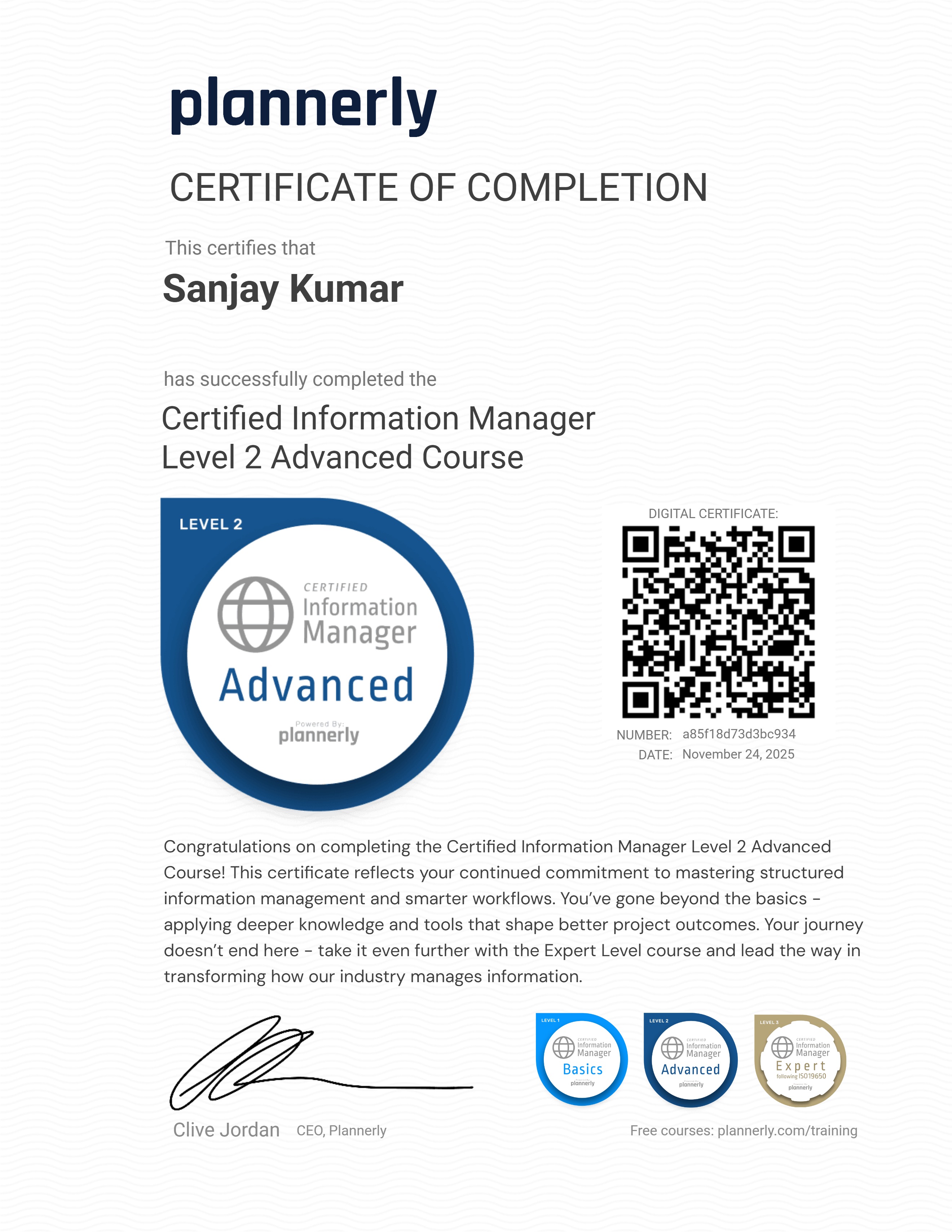 Level 2 Information Manager - Advanced