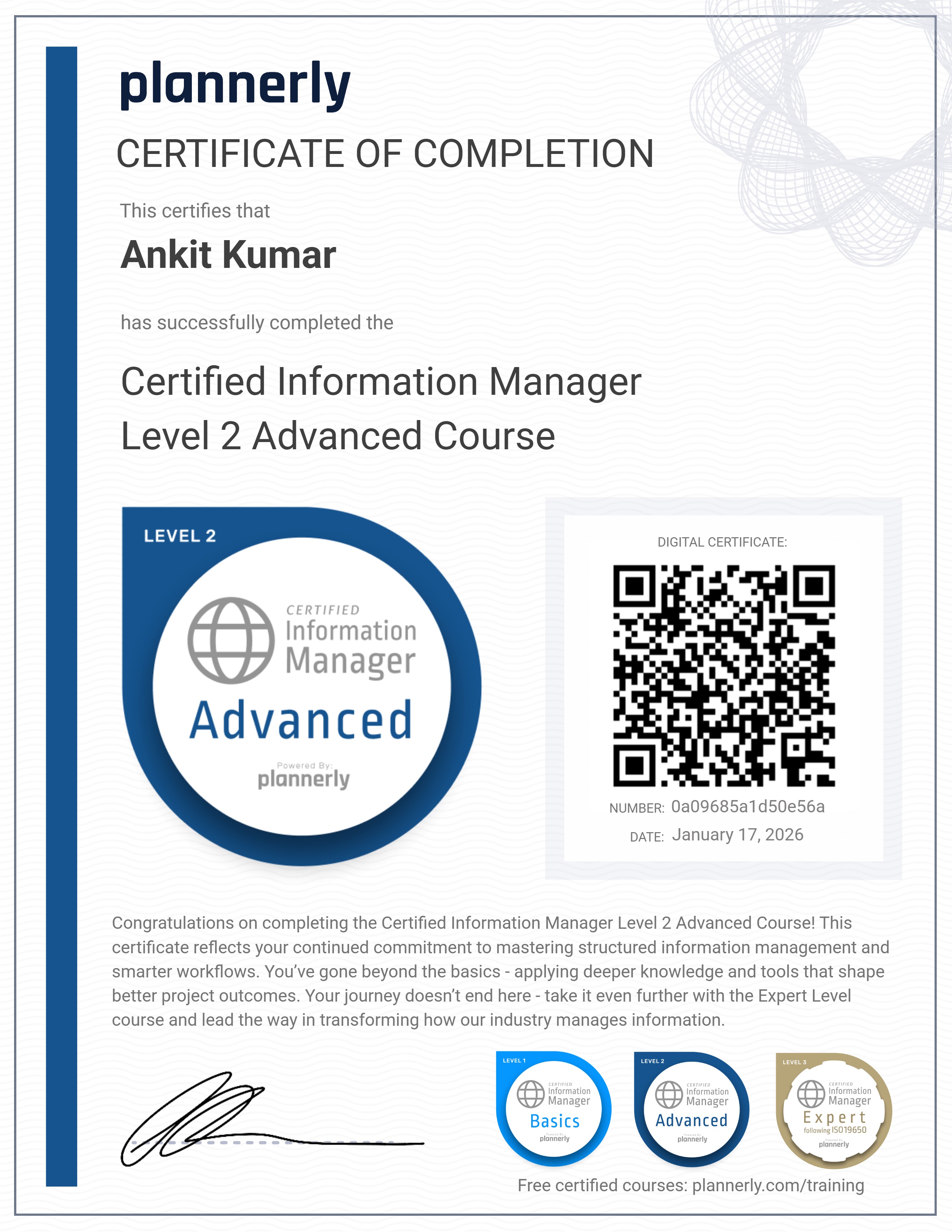 Level 2 Information Manager - Advanced