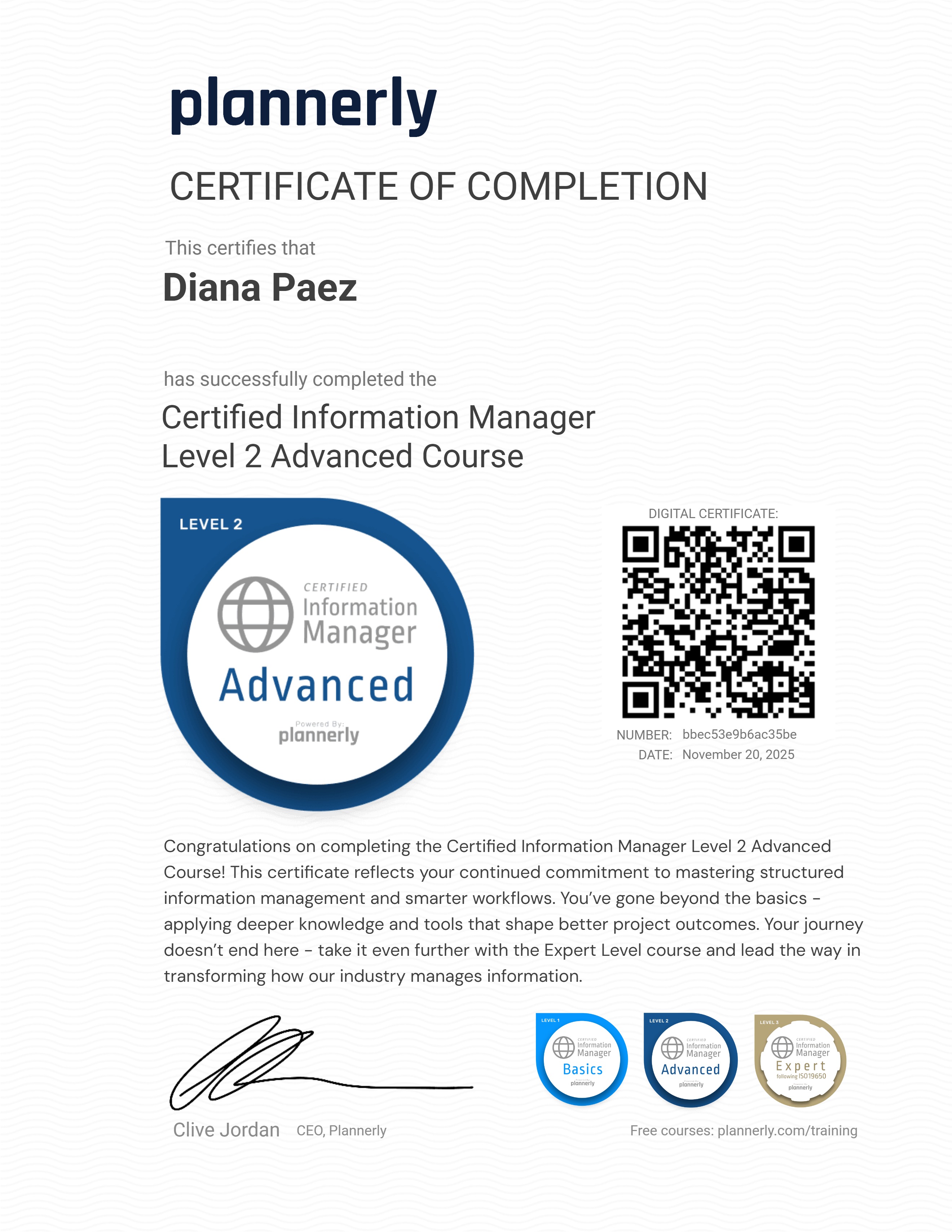 Level 2 Information Manager - Advanced