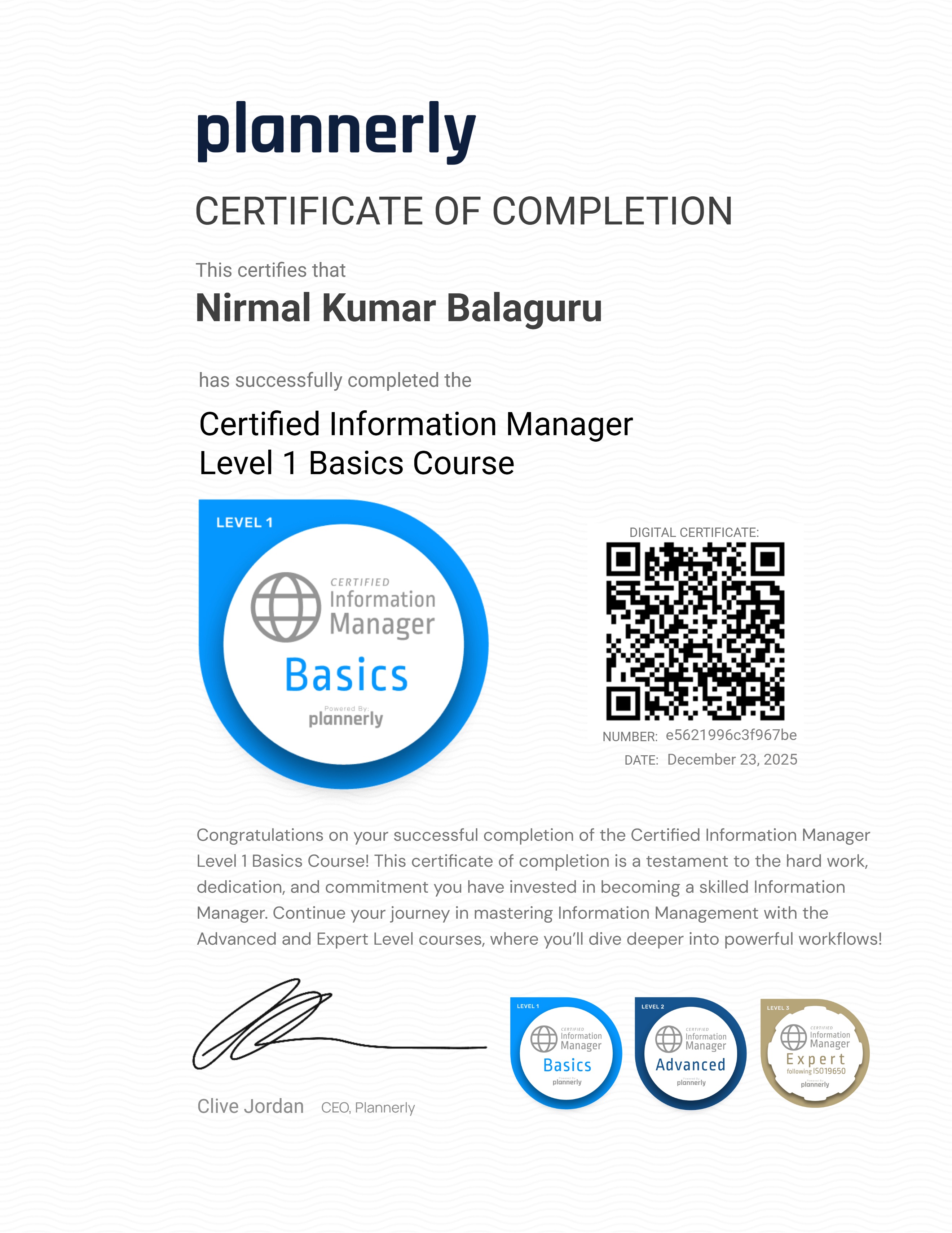 Level 1 Information Manager - Basics